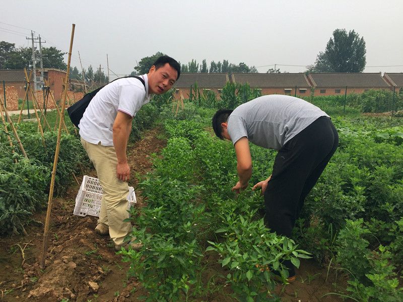 好利來(lái)郭總喊您來(lái)摘菜啦！綠色無(wú)公害，放心！