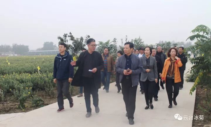 云臺冰菊基地發(fā)生了什么？一批批領導專家團隊前來！
